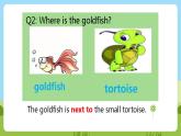 川教版英语四年级下册Unit 3 Lesson 2《There Is a Red Goldfish》课件+教案（含2课时）