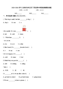 2023-2024学年上饶市信州区四下英语期中质量检测模拟试题含答案