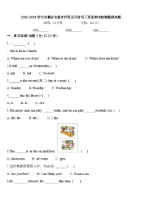 2023-2024学年安徽省合肥市庐阳区评价四下英语期中检测模拟试题含答案