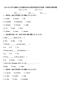 2023-2024学年安徽省六安市霍邱县宏志实验学校英语四年级第二学期期中调研试题含答案