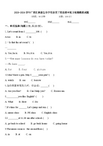 2023-2024学年广西壮族崇左市宁明县四下英语期中复习检测模拟试题含答案