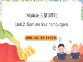 【趣味课堂】外研版三起英语五下 Module 3 Unit 2 《Sam ate four hamburgers》课件