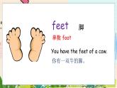 科普版英語四下Lesson8 第三課時 PPT課件