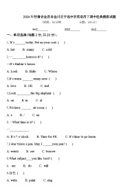 2024年甘肃省金昌市金川区宁远中学英语四下期中经典模拟试题含答案