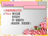 1A Unit 2What is it课件 新概念英语青少版