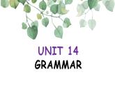 1A Unit14-Unit15 Total Review课件 新概念英语青少版
