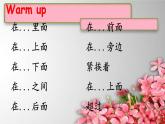 1A Unit 8课件新概念英语青少版