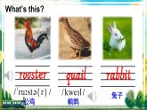 Unit 5 Lesson 28 精通英语3下[PPT课件+教案+习题]