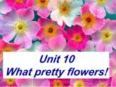 新概念英语青少版入门级B-Unit10（乡村） PPT
