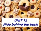 新概念英语青少版入门级B-Unit12 (动词）PPT