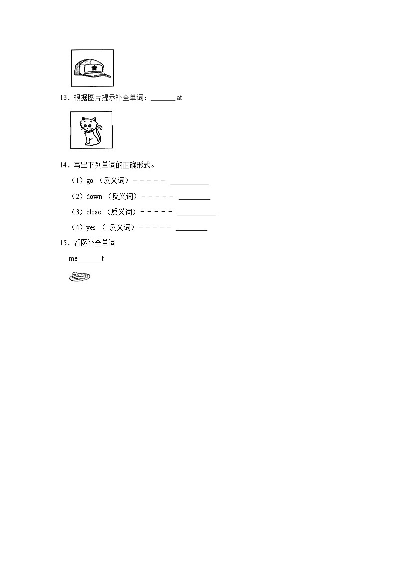 单词拼写-2023-2024学年 小学英语 三年级下学期 期中必刷常考题  外研版（含解析）02