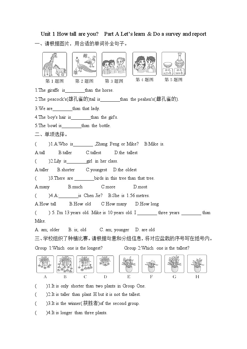 Unit 1 How tall are you Part A Let’s learn & Do a survey and report(同步练)-2023-2024学年人教PEP版英语六年级下册第1页