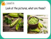 Module 4 Things we enjoy Unit 12 The five peas 第1课时（课件+素材）-2023-2024学年牛津上海版（三起）英语六年级下册