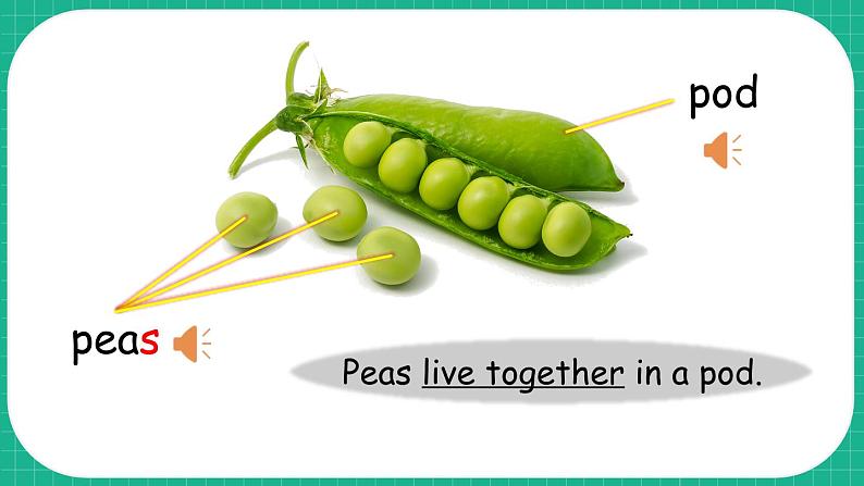 Module 4 Things we enjoy Unit 12 The five peas 第1课时（课件+素材）-2023-2024学年牛津上海版（三起）英语六年级下册05