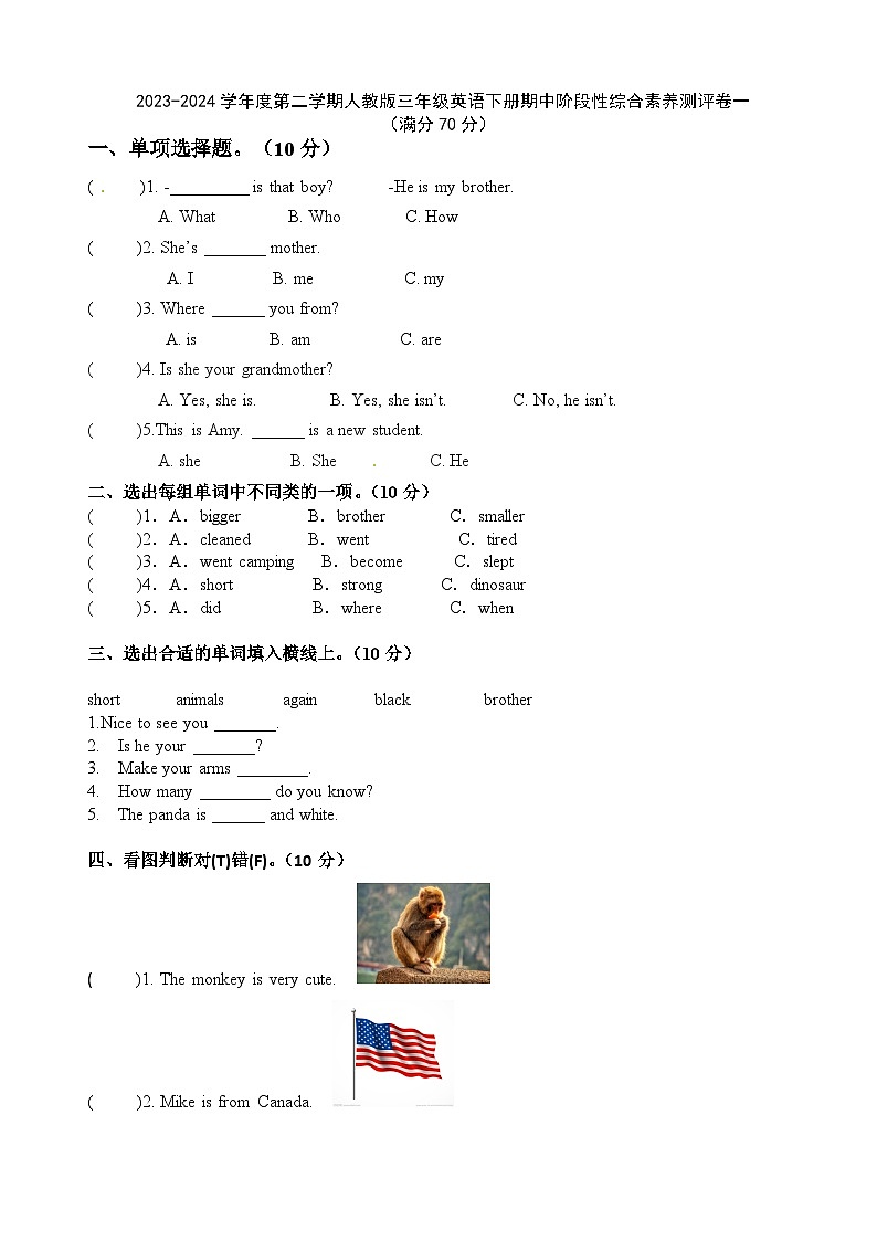 期中+（试题）+-2023-2024学年人教PEP版英语三年级下册第1页