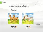 人教精通版四年級(jí)英語(yǔ)下冊(cè) Lesson 35教學(xué)課件