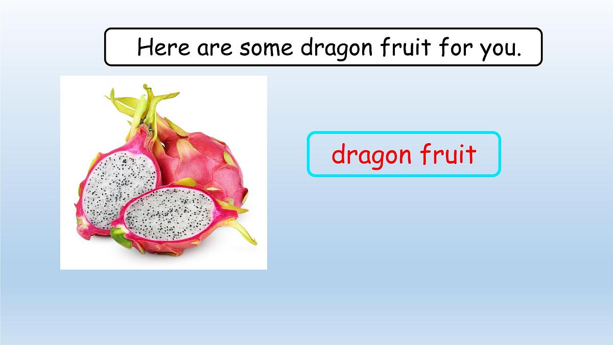 人教精通版五年级英语下册 Lesson 24教学课件第6页