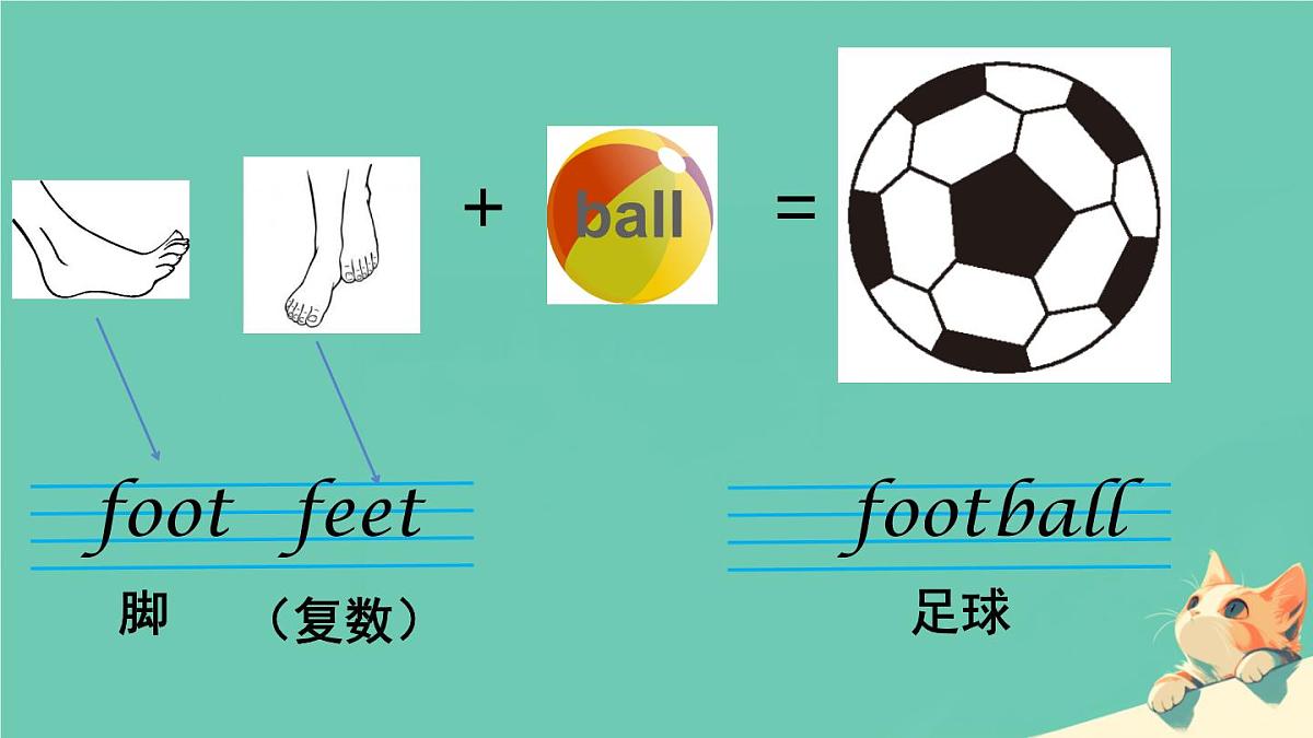 人教精通版五年级英语下册 Lesson 32教学课件第2页