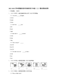 2022-2023学年福建省泉州市南安市六年级上学期期末英语试卷（含答案）