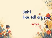 人教版（PEP）六年级英语下册Unit 1 How tall are you 单元复习 课件