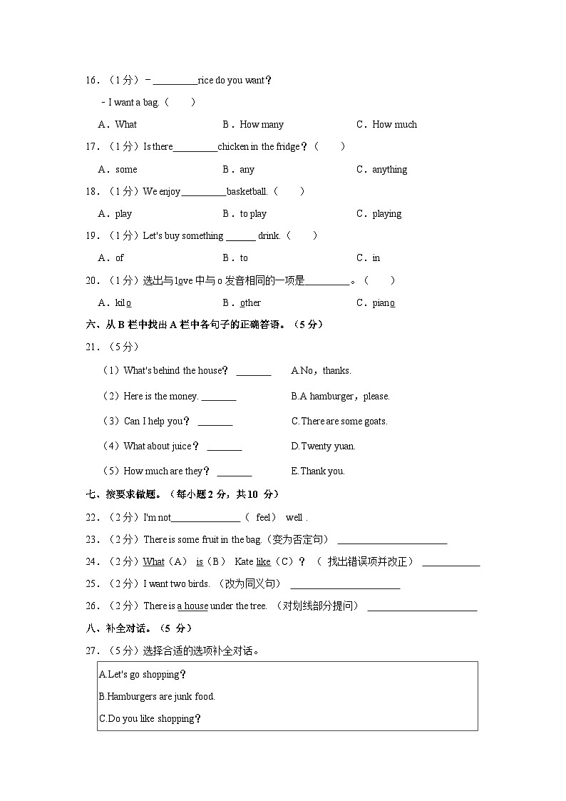 2022-2023学年河南省南阳市南召县五年级（上）期末英语试卷03