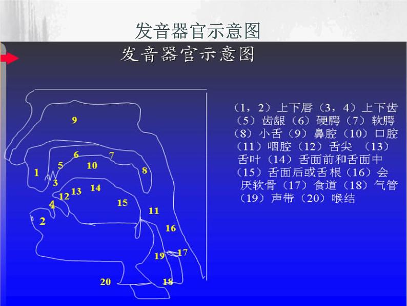 全套英语自然拼读课件ppt107