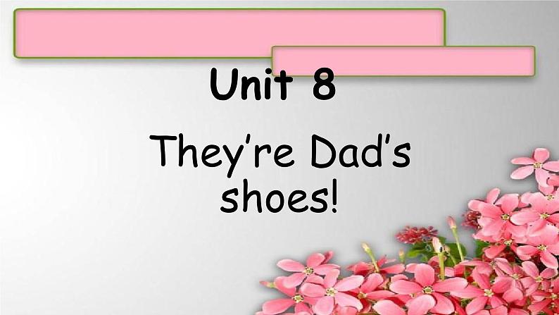 Unit 8They’re Dad’s shoes!课件  新概念英语（青少版）Starter  B01