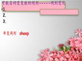 Start B上 Total Review（1）课件  新概念英语（青少版）Starter  B