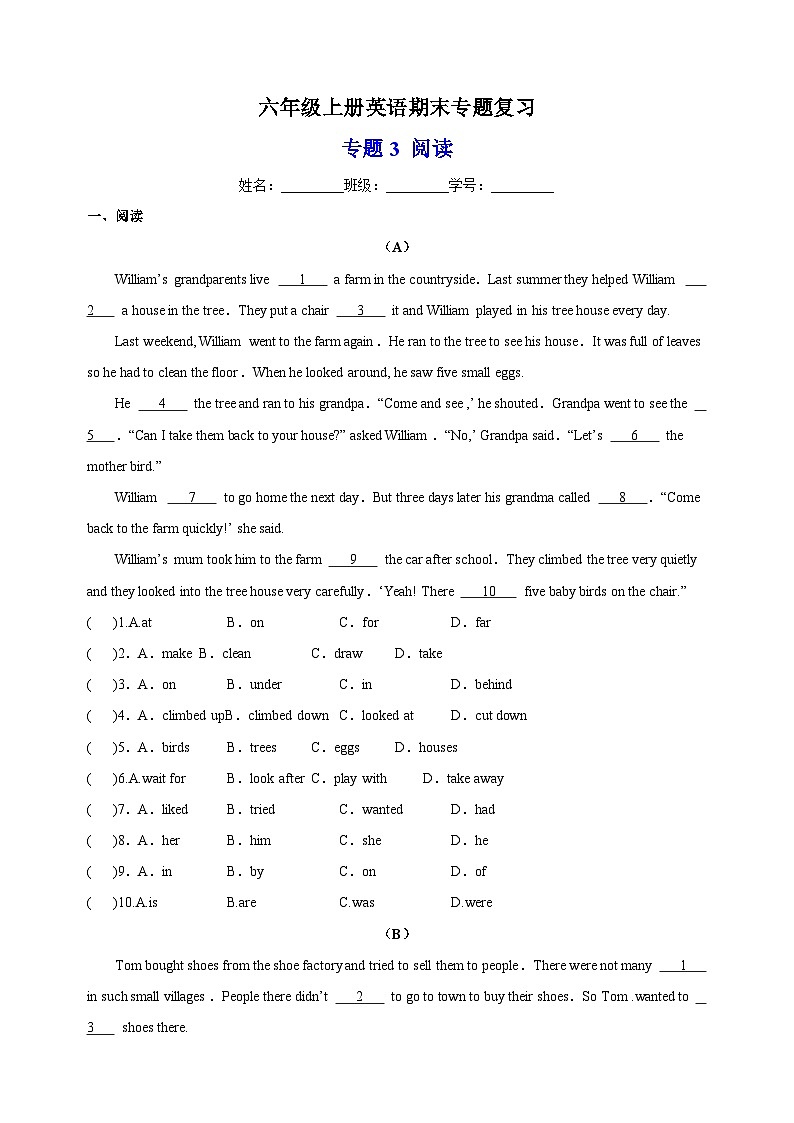 专题3 阅读-2023-2024学年译林版六年级上册英语期末专题复习01