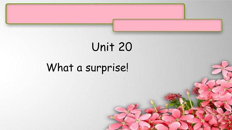 Unit 20 What a surprise!课件  新概念英语青少版1B第1页