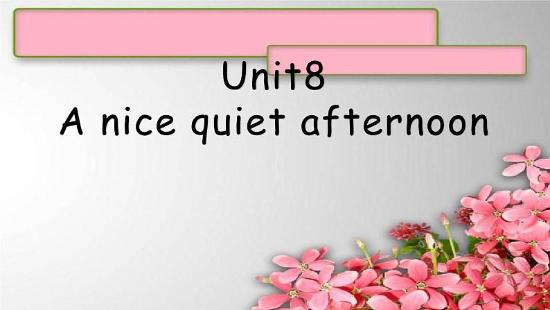 U8A nice quiet afternoon课件  新概念英语（青少版）2A01