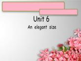 Unit 6An  elegant  size课件  新概念英语（青少版）2A