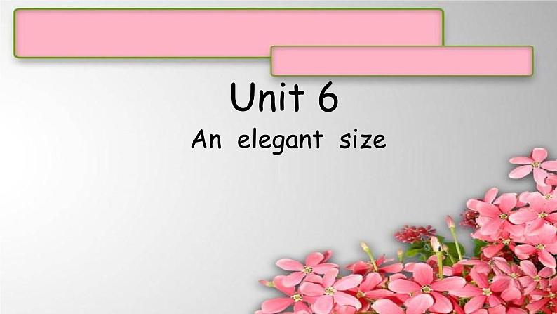 Unit 6An  elegant  size课件  新概念英语（青少版）2A01