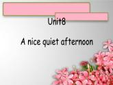 Unit 8A nice quiet afternoon课件  新概念英语（青少版）2A