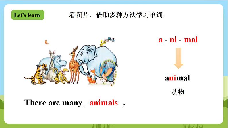 【新课标】Unit 3 Lesson 3 《There are many animals》 第1课时 课件+教案+练习+素材04