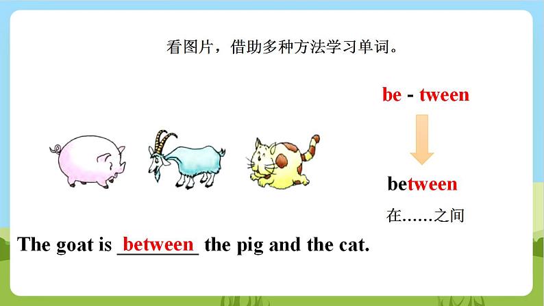 【新课标】Unit 3 Lesson 3 《There are many animals》 第1课时 课件+教案+练习+素材06