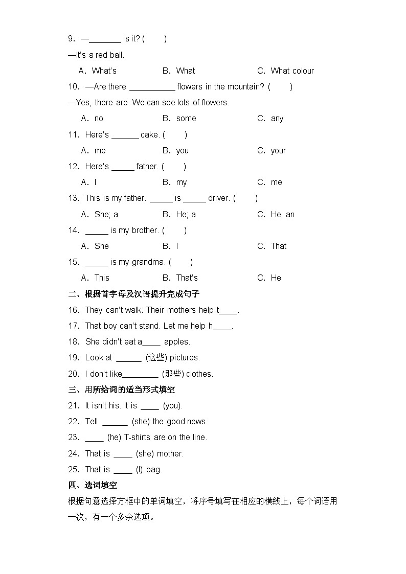 小升初英语语法专项培优练习-代词（全国通用版）02