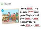 Module 4  Things we enjoy Unit 10 My garden 第3课时（课件+素材）-2023-2024学年牛津上海版（三起）英语四年级下册