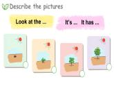 Module 4  Things we enjoy Unit 10 My garden 第3课时（课件+素材）-2023-2024学年牛津上海版（三起）英语四年级下册