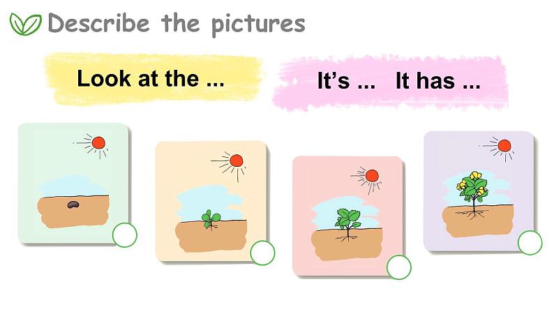 Module 4  Things we enjoy Unit 10 My garden 第3课时（课件+素材）-2023-2024学年牛津上海版（三起）英语四年级下册04