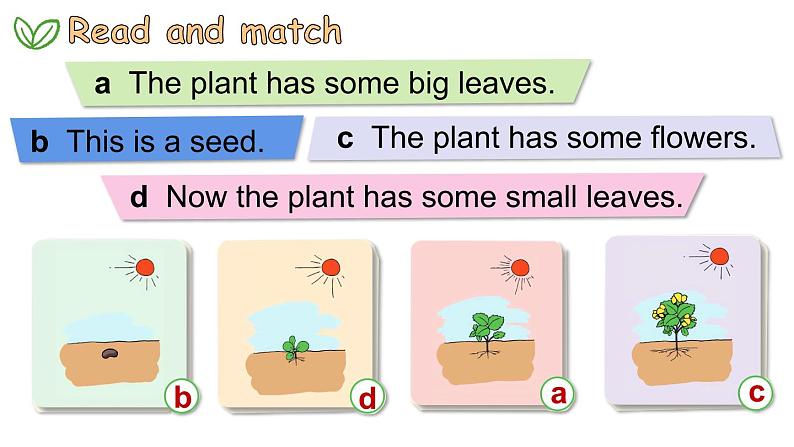 Module 4  Things we enjoy Unit 10 My garden 第3课时（课件+素材）-2023-2024学年牛津上海版（三起）英语四年级下册05