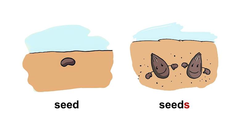 Module 4  Things we enjoy Unit 10 My garden 第3课时（课件+素材）-2023-2024学年牛津上海版（三起）英语四年级下册06