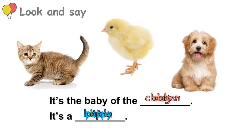 Module 4  Things we enjoy Unit 12 The ugly duckling 第1课时（课件+素材）-2023-2024学年牛津上海版（三起）英语四年级下册04