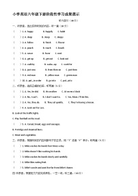 2023-2024学年江苏省徐州市沛县译林版（三起）六年级下册期中阶段性学习成果展示英语试卷（原卷版+解析版）