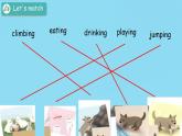（PEP）五年级英语下册 Unit 5 Whose dog is it_ 5 PartC 课件
