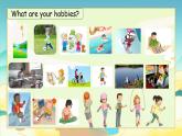 Unit 4 Hobbies L3課件  人教新起點(diǎn)版英語四年級(jí)下冊(cè)