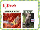 Unit 6 Countries L3Let’s spell & Fun Time課件  人教新起點(diǎn)版英語(yǔ)四年級(jí)下冊(cè)