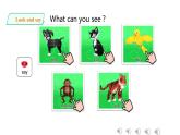 Unit 3 Animals Lesson 2（課件）-2023-2024學(xué)年人教新起點(diǎn)版英語五年級上冊