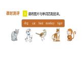 Unit 3 Animals Lesson 2（課件）-2023-2024學(xué)年人教新起點(diǎn)版英語五年級上冊