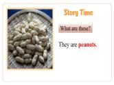 Unit 4 Last Weekend Lesson 7 Story Time   课件